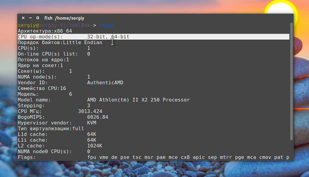 Какую версию Ubuntu выбрать