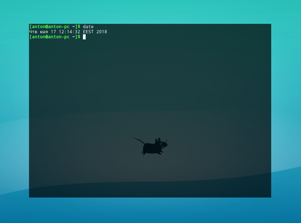 Команда date в Linux