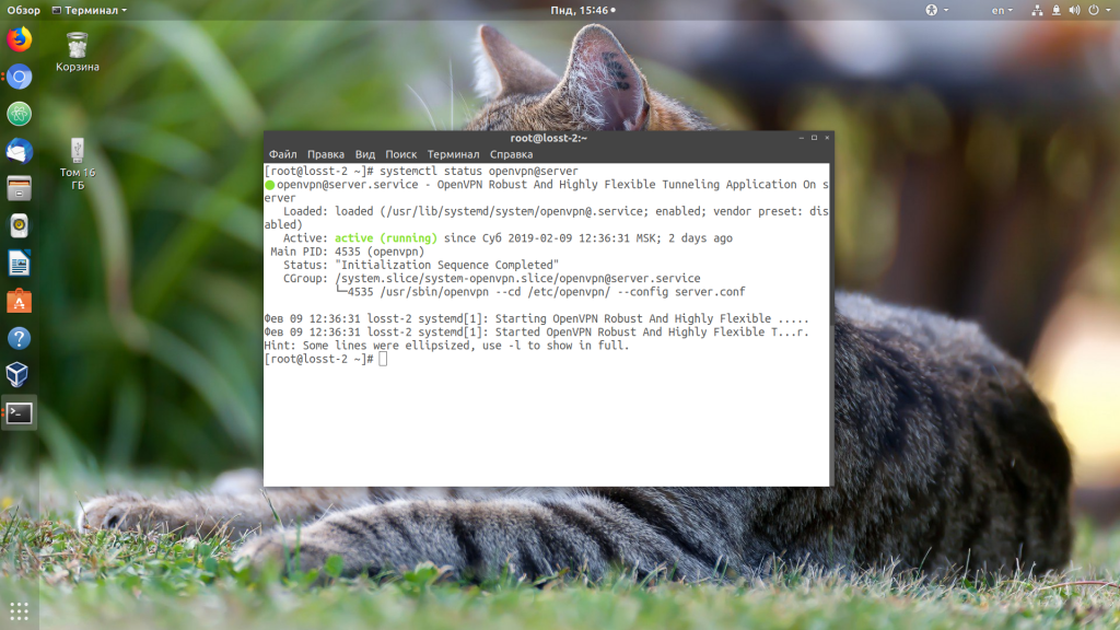 Не подключается OpenVPN