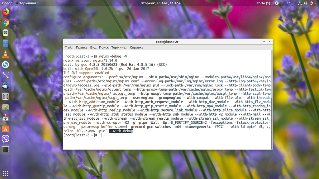 Ошибка 404 not found Nginx