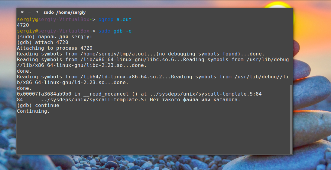 Ошибка сегментирования Ubuntu