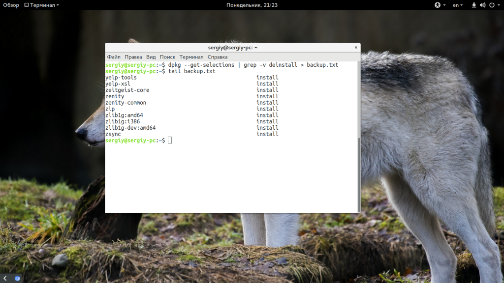 Резервное копирование Ubuntu