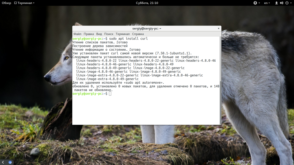 Установка Ruby в Ubuntu