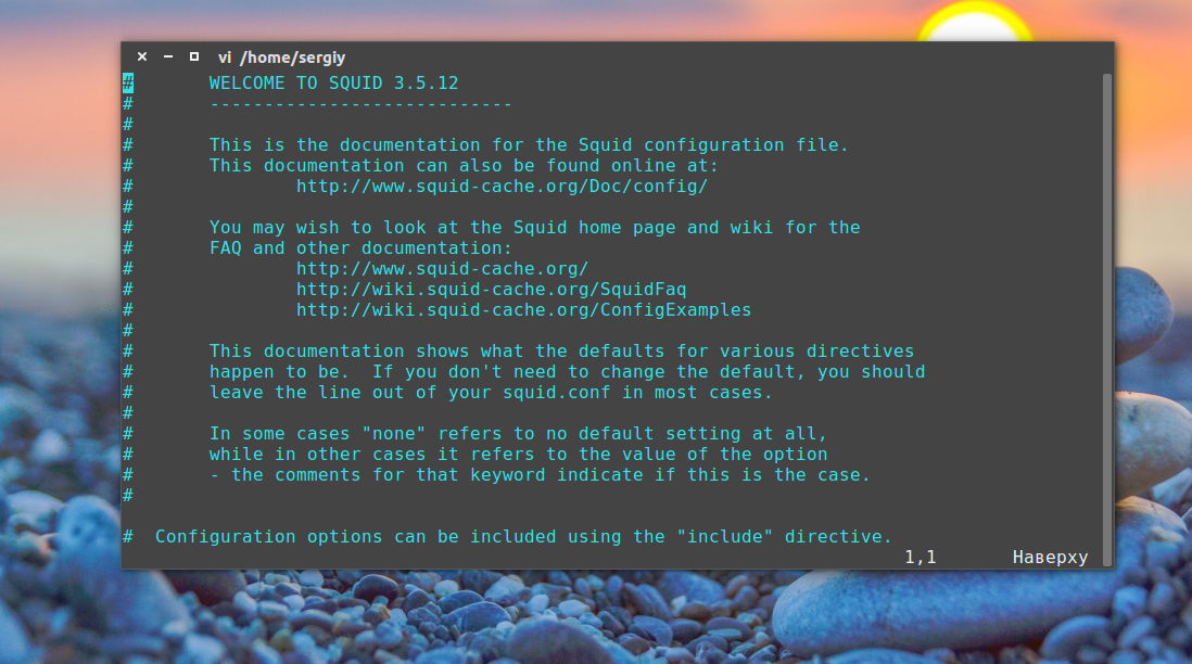 Установка Squid в Ubuntu