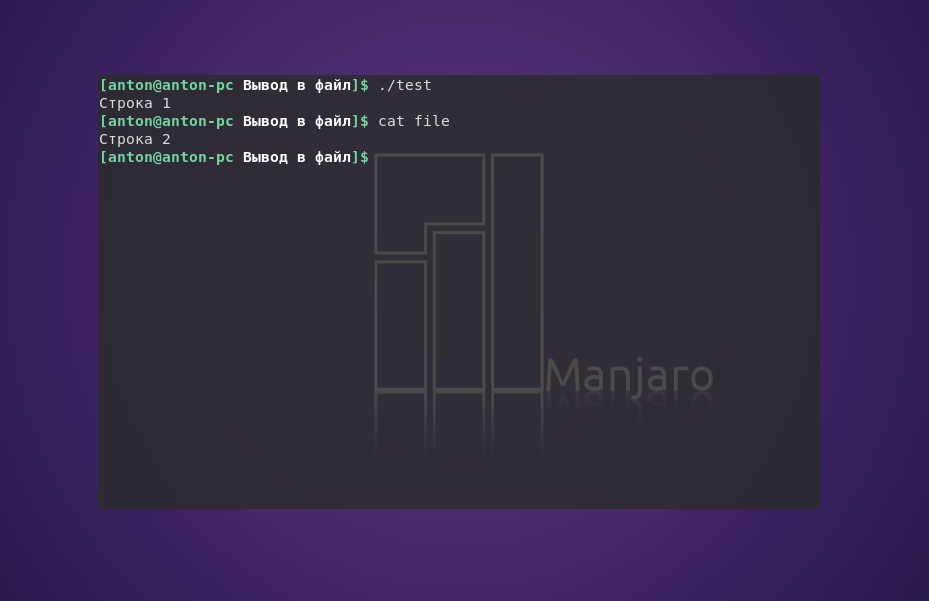 Вывод в файл Bash в Linux