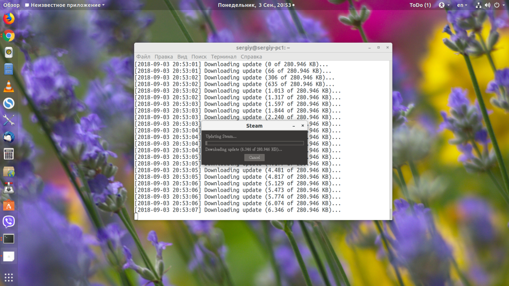 Запуск Windows игр в Linux через Steam Play